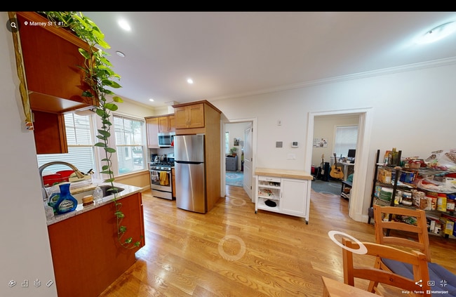 Building Photo - 20 Marney St