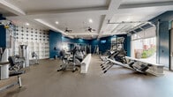 This fitness center is designed to support a comprehensive workout experience within a spacious, open-plan layout. The interior is defined by bold deep-blue accent walls that contrast sharply with the white coffered ceiling, creating an energetic and motivating atmosphere. Multiple ceiling fans are distributed throughout, ensuring consistent air circulation during workouts.

The cardio zone is generously stocked with a row of elliptical trainers, stationary bikes, StairMasters, and treadmills, all arranged to allow easy movement between machines. A central white divider provides subtle zone separation without disrupting the open feel of the space.

The strength training area features a cable machine system, a squat rack with a weight bench, kettlebells, and a dedicated dumbbell rack. Floor-to-ceiling mirrors line one wall, amplifying the sense of space and allowing users to monitor their form during exercises.

Additional amenities include a medicine ball rack, a wall-mounted punching pad, a wall-mounted television, and built-in shelving units for storage. Motivational framed artwork and sports photography decorate the walls, adding character to the space. Durable rubber flooring covers the entire area, providing safety and comfort underfoot. Natural light filters in through windows on one side, enhancing the overall brightness of the facility.