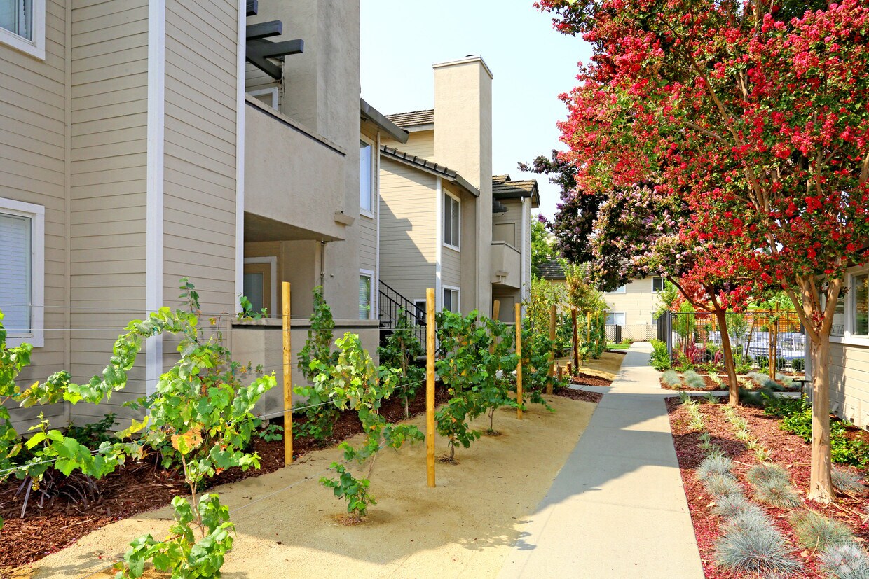 Chardonnay Garden Apartments Livermore, CA