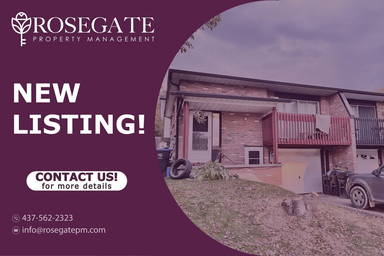 Primary Photo - Charming 3-Bedroom Basement Apartment in B...