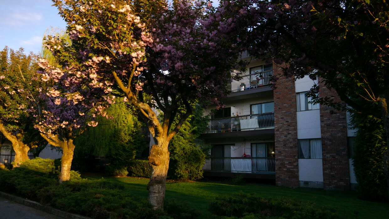 10215 150 St Unit 245, Surrey, BC V3R 4A8 Apartments 10215 150 St