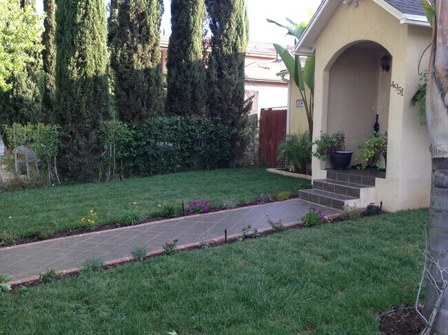 Front Yard - 4951 Enfield Ave