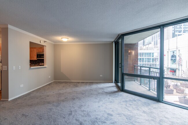 Foto del edificio - 480 N McClurg Ct