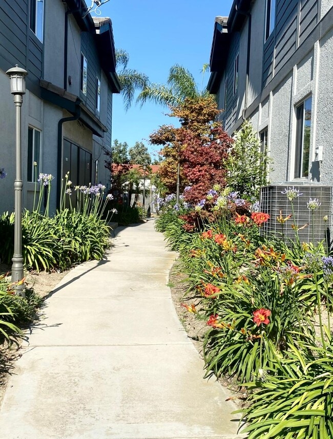 Foto del edificio - Somerset Apartments