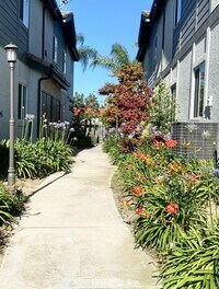 Somerset Apartments