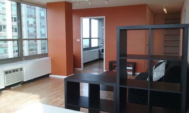 Building Photo - 3550 N Lake Shore Dr
