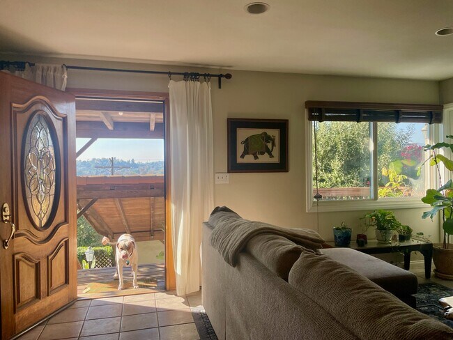 View from the living room - 2408 Hidalgo Ave