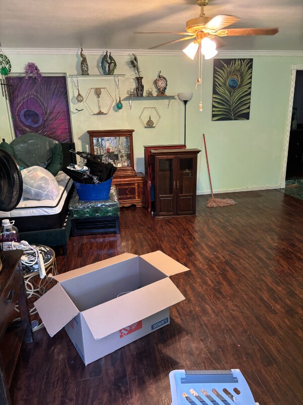 Primary Photo - 910 Glencoe Dr