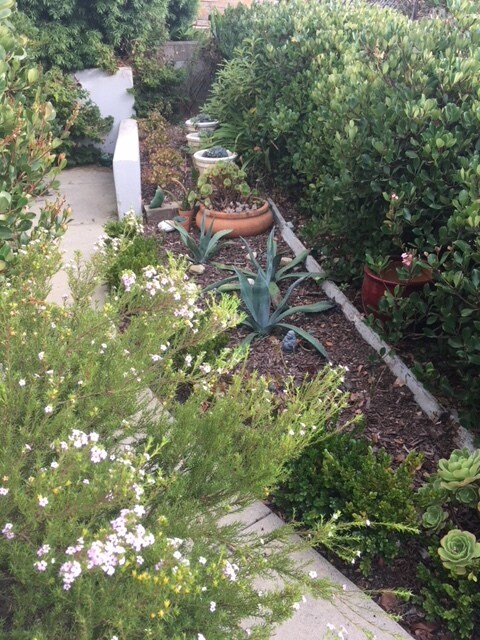 Building Photo - 2444 Shelby St