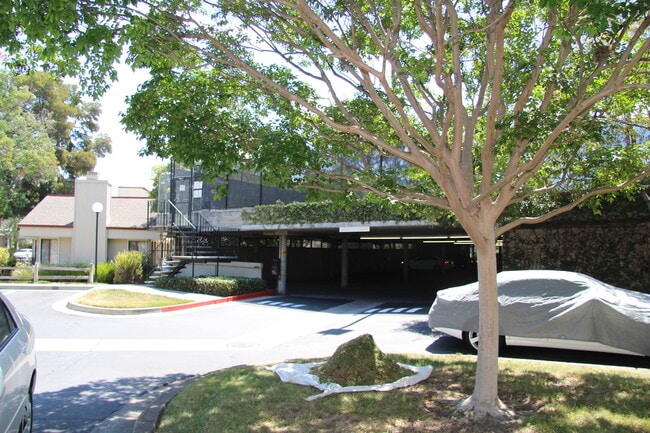 Building Photo - Lovely, Light-Filled 2 Bedroom, 2 Bath Condo