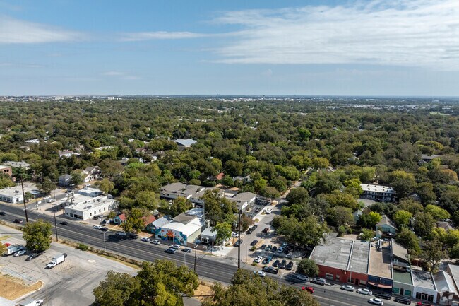 The Hyde Park neighborhood is filled with many live oak and juniper trees.