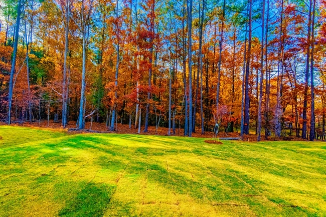 Building Photo - 1024 Red Roses Ave