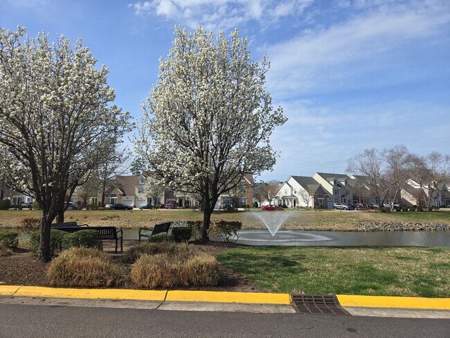 Foto del edificio - Virginia Beach living at its BEST!