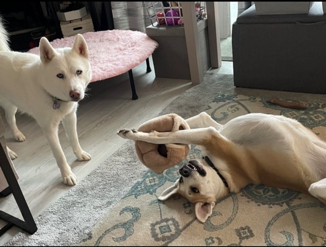 Building Photo - 23960 58th Ct S