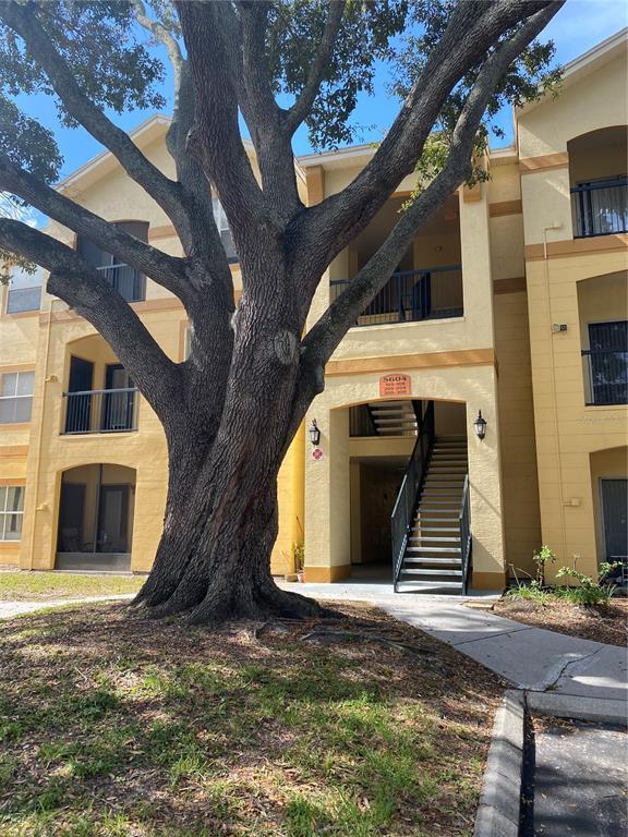 5604 Pinnacle Heights Cir Unit 306, Tampa, FL 33624 Condo for Rent in