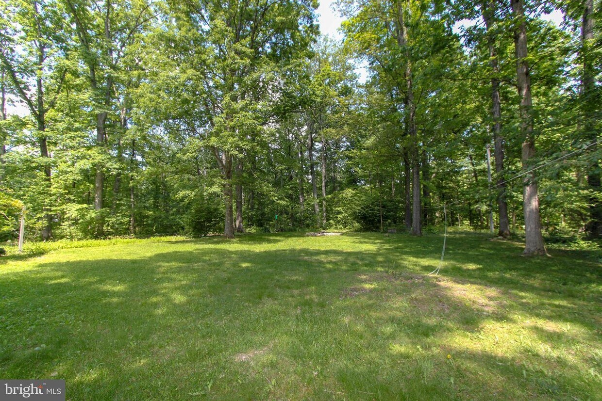 Primary Photo - 1009 Wildrose Ln
