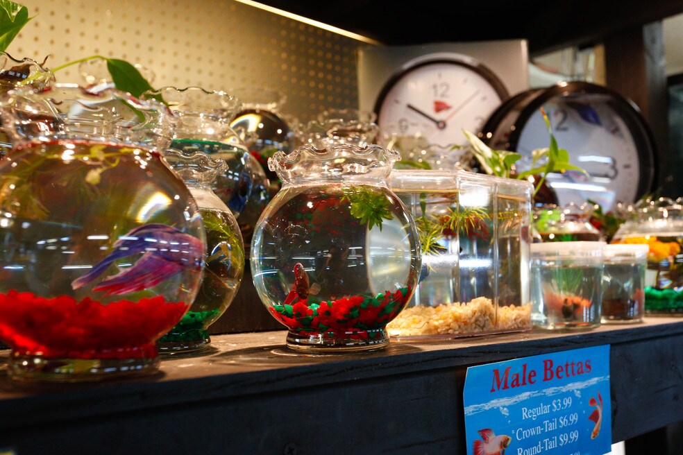 Is Hidden Valley a Good Place To Live in Charlotte? Neighborhood