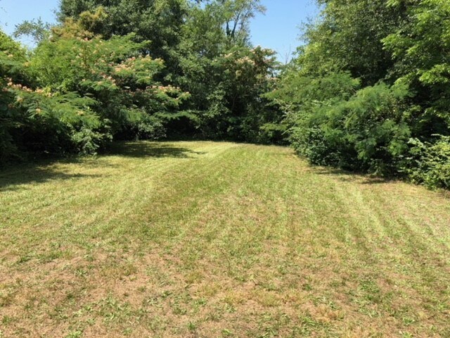 Fenced in Backyard - 330 Clover St