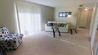 This single-floor space features a spacious living room designed with comfort and functionality in mind. The room is anchored by large sliding glass doors dressed with floor-to-ceiling vertical blinds, allowing abundant natural light to fill the space while offering privacy control. The neutral gray walls and beige wall-to-wall carpeting create a warm, understated palette that lends itself well to a variety of décor styles. A white upholstered sofa serves as the centerpiece of the seating area, accented with patterned throw pillows in blue, gray, and brown tones. A glass-top coffee table with dark curved legs sits in front of the sofa, complemented by a matching side chair and a floor lamp that adds ambient lighting. Wall-mounted decorative artwork above the sofa adds a personal touch to the otherwise clean and simple aesthetic. The open layout of the living area provides generous floor space, making the room feel airy and uncluttered. Overall, the space presents a tidy, move-in-ready environment with a calm, neutral ambiance suited for everyday living.