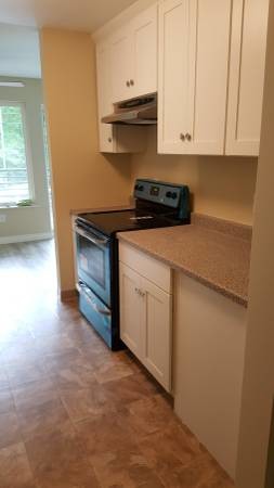 The Beacon Apartments Seattle Wa Apartments Com