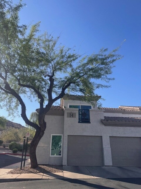 Building Photo - 3236 E Chandler Blvd