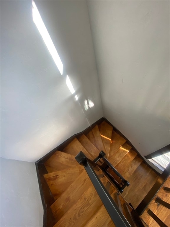Foto del edificio - 39 Waterhouse St
