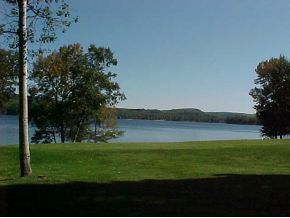 the lawn in summer - 35 Landing Rd