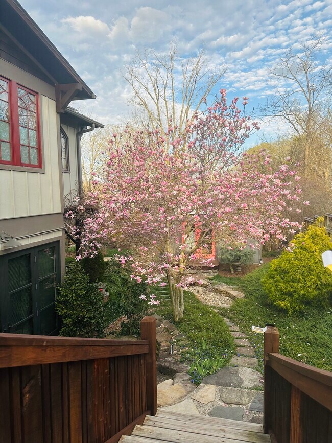 Foto del edificio - 100 Nevada Ave