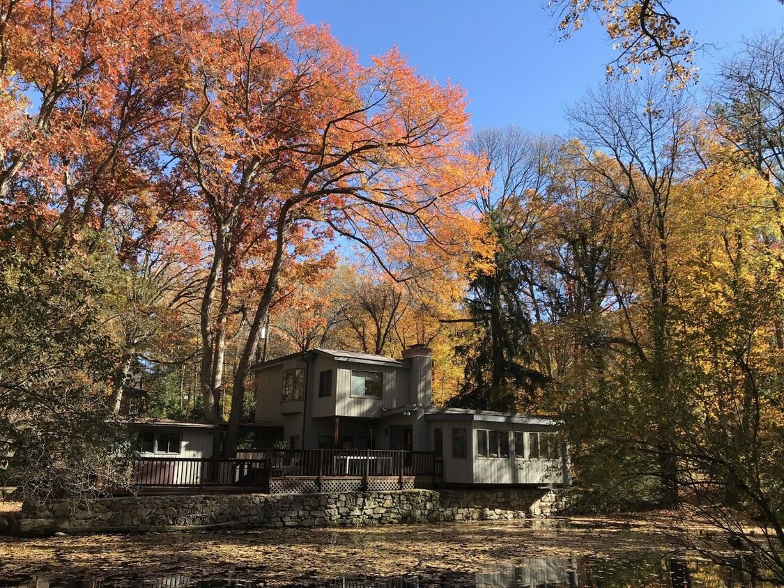 Backyard View - 21 Westview Ln