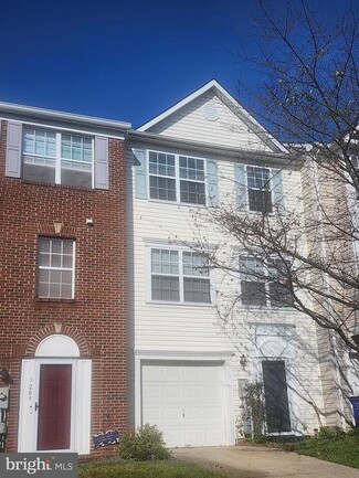 Building Photo - 3211 Halcyon Ct