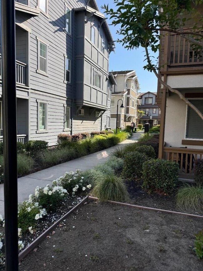 Foto del edificio - 17075 St Cecilia Ln