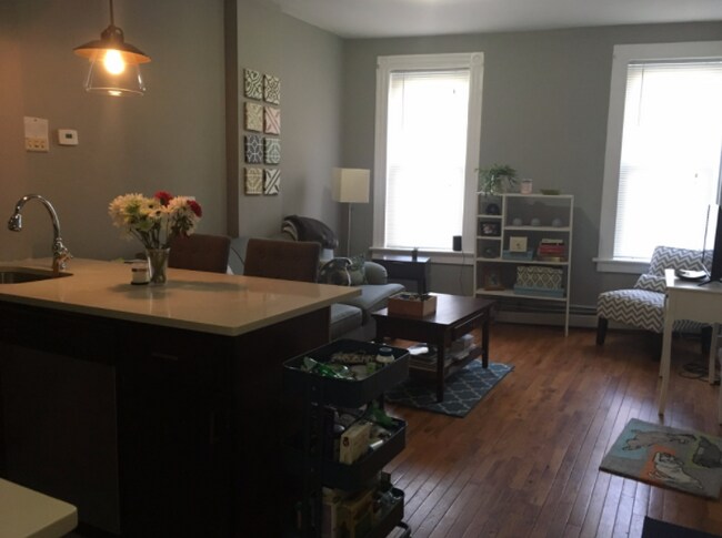 kitchen/living room - 4 Lyon St