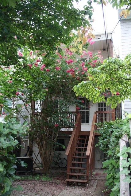 Foto principal - 3716 R St NW