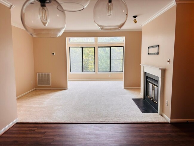Bright Spacious Living Area - 2807 Lee Oaks Ct (Falls Church, VA) Apartment
