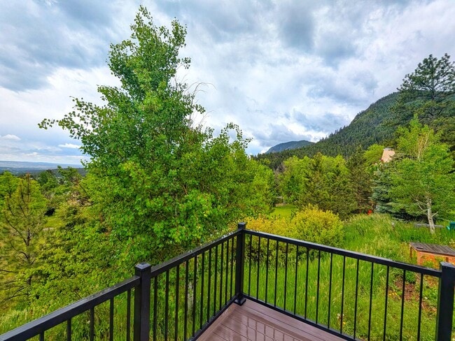 Building Photo - Fully Remodled Cabin in Palmer Lake with A...