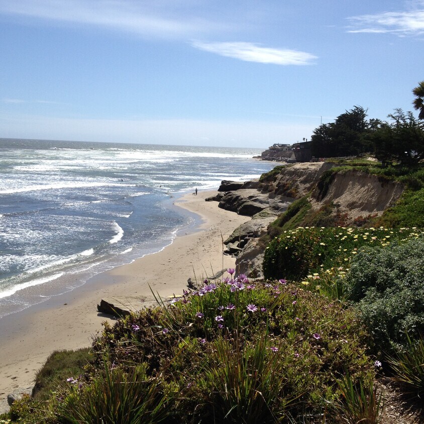 23727 E Cliff Dr, Santa Cruz, CA 95062 23727 E Cliff Dr Santa Cruz, CA