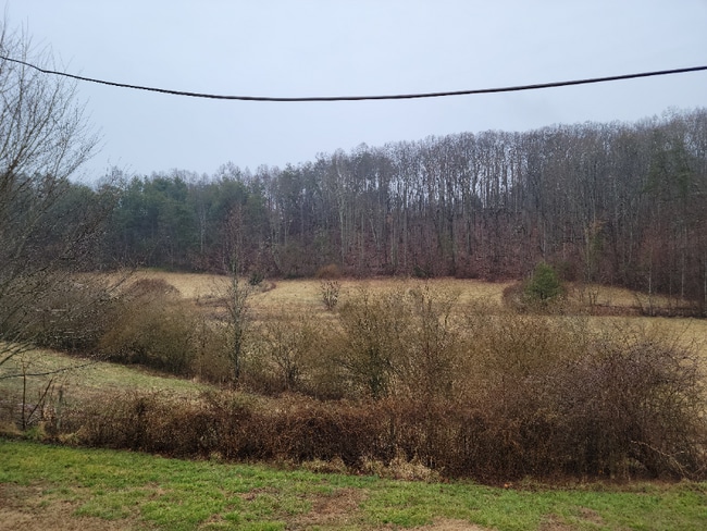 Foto del edificio - 885 Rural Hall-Germanton Rd