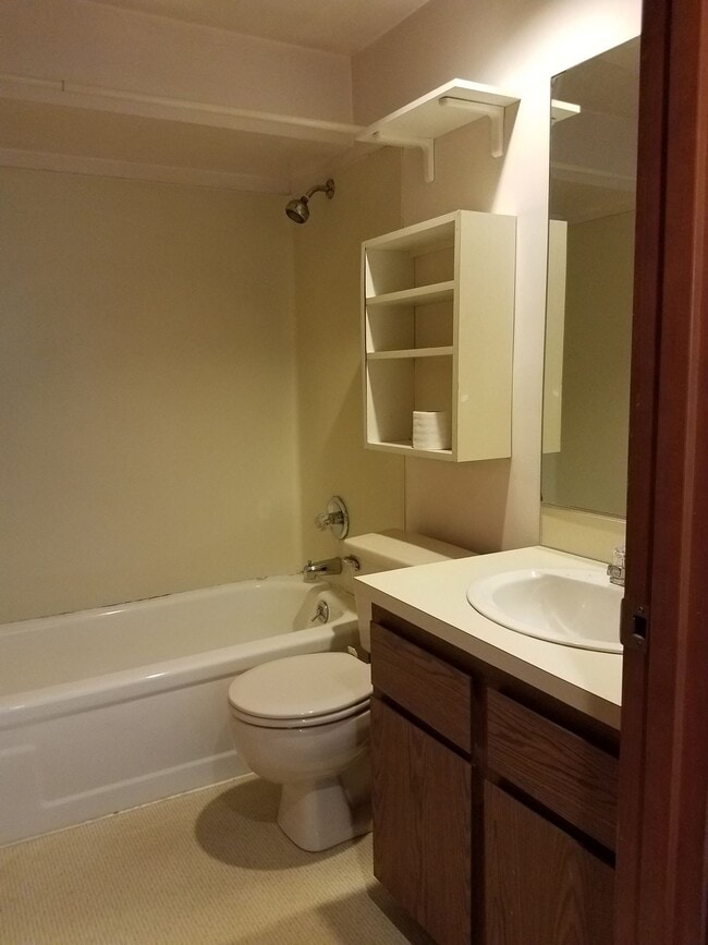 Building Photo - Newly Renovated + Sunny & Bright, 2 Bedroo...