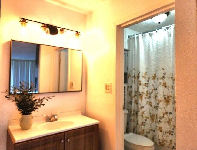 Building Photo - Studio/Efficiency Condo Near Florida Mall;...