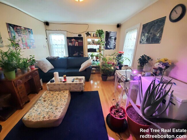 Foto del edificio - 41 Mount Pleasant St
