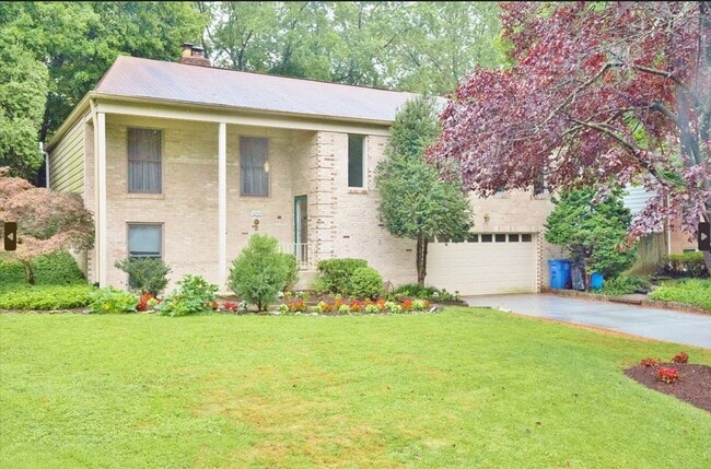 Sparkling and Spacious - Sparkling and Spacious House