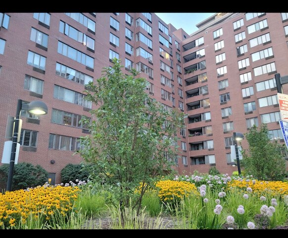 Foto principal - 801 S Plymouth Ct