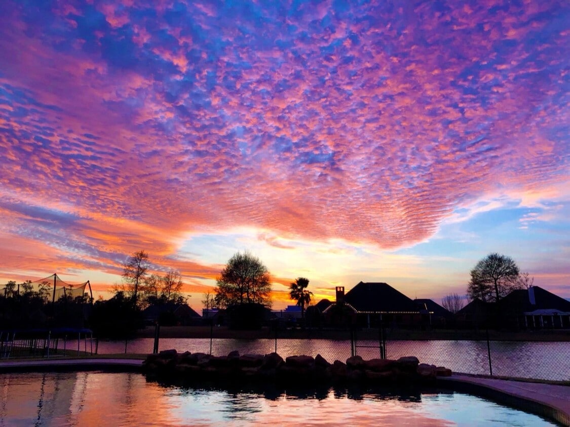 247 Hannah Ln, Lumberton, TX 77657 House for Rent in Lumberton, TX