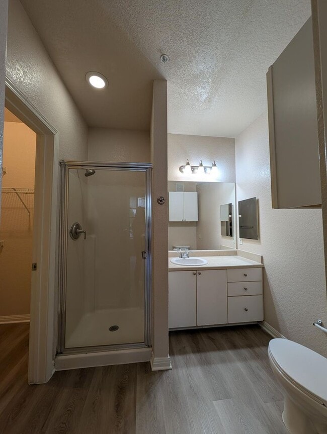 Building Photo - 1x1 Spacious, bright and comfortable! Newly renovated! Walk to Lake Ivanhoe!