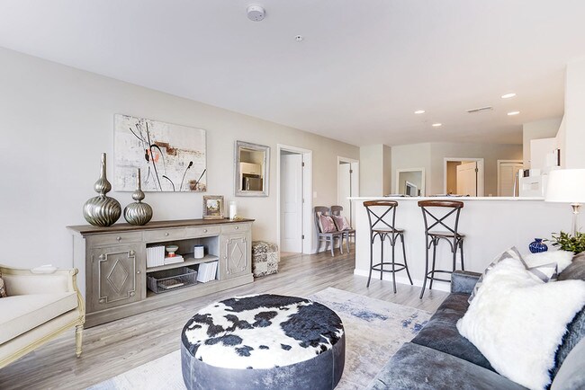 Interior Photo - Artena Manassas