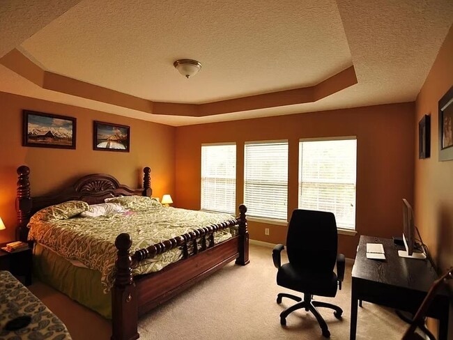 Building Photo - 4029 Lionheart Dr
