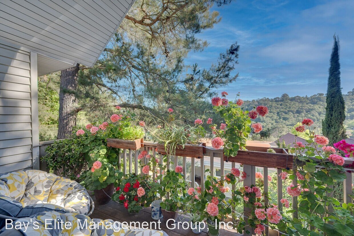118 Ascot Ct, Moraga, CA 94556 House for Rent in Moraga, CA