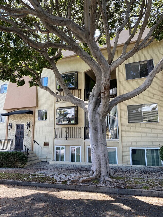 Foto principal - 2 br, 2 bath Apartment - 808 Princeton Street