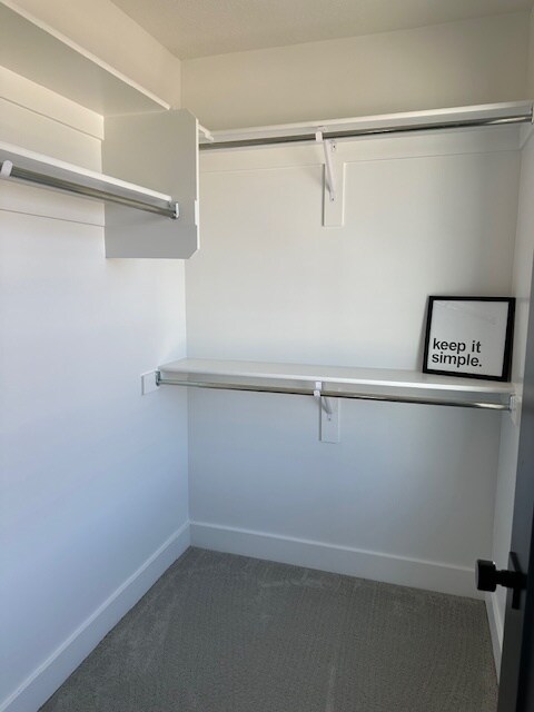 Building Photo - 3462 Forres Ct