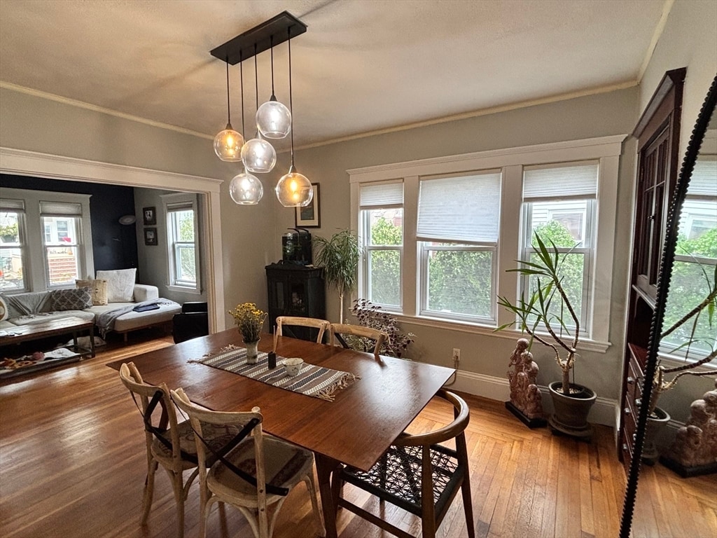 Primary Photo - 24 Teele Ave